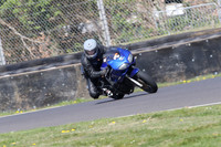 BIKES 0677
