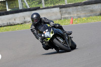 Fowlers 0569