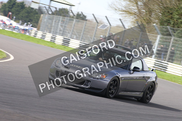 Spring Action 1569