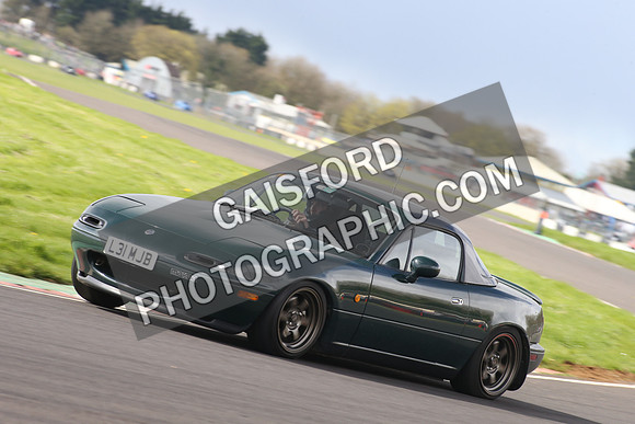 Spring Action 1584