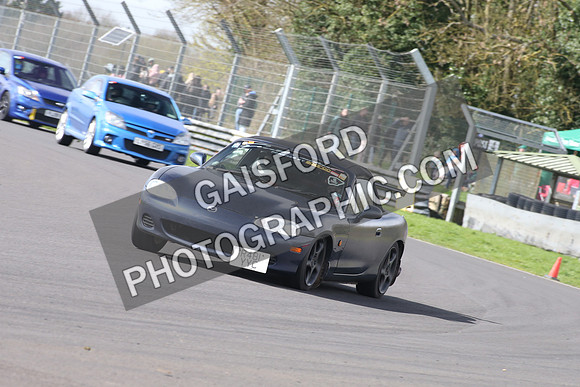 Spring Action 1591
