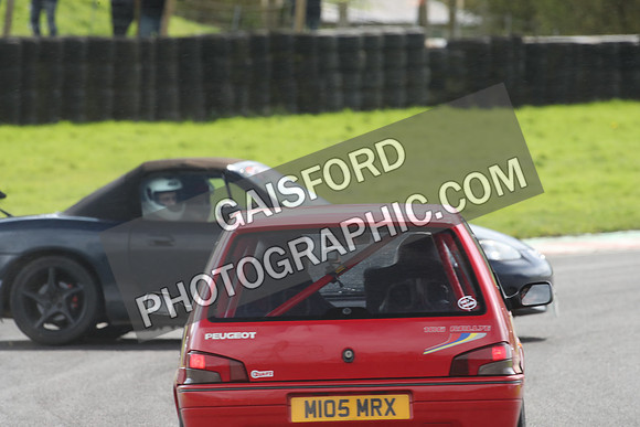 Spring Action 1614