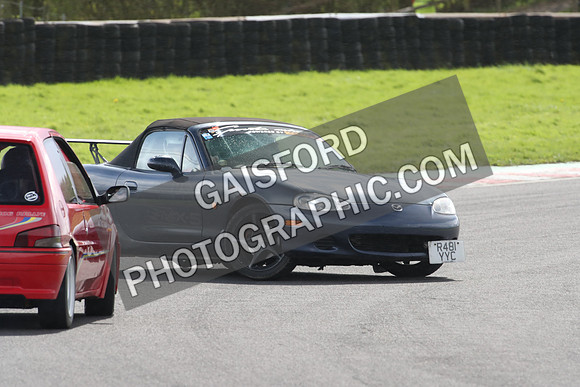 Spring Action 1615