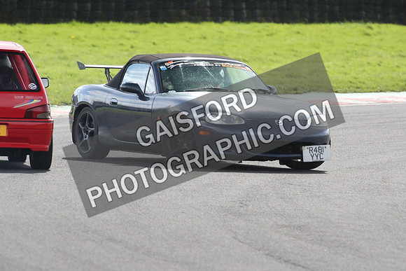 Spring Action 1616