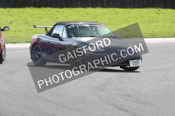 Spring Action 1617