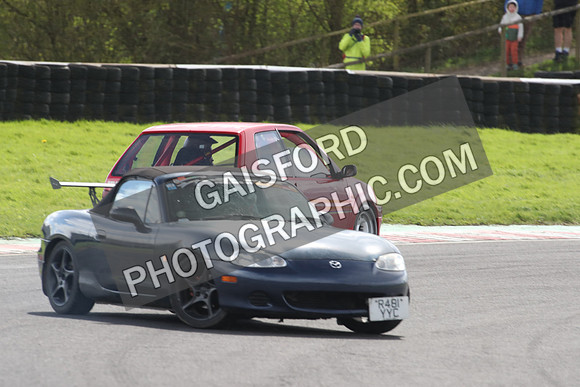 Spring Action 1618
