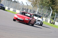 Spring Action 1779