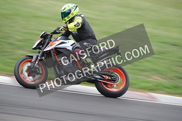 BIKES 1561