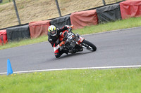Fowlers 0795