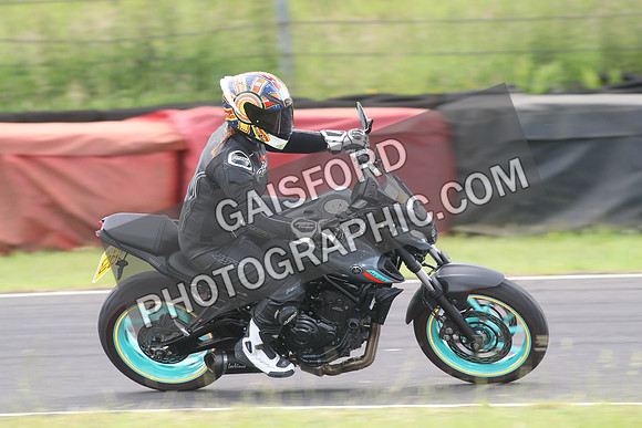 BIKES 1288
