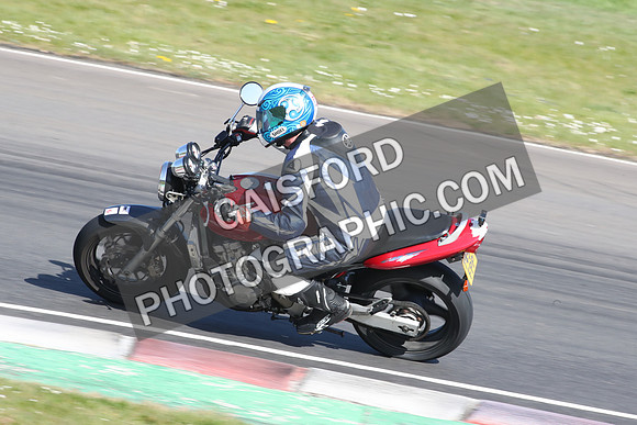 BIKES 2161