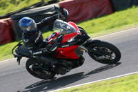 BIKES 1626