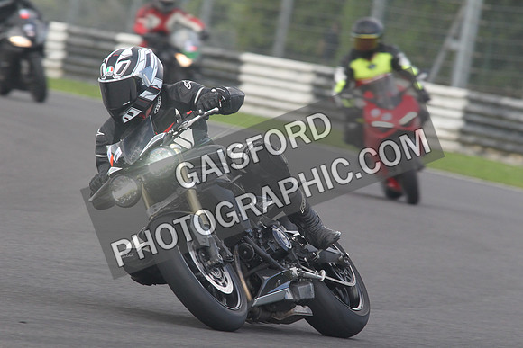 BIKES 1552