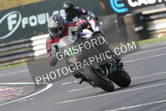 BIKES 0384