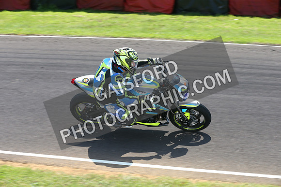 BIKES 2319