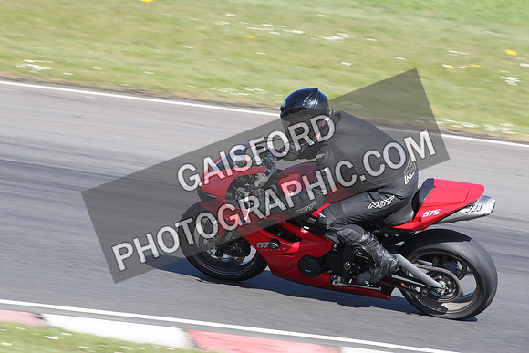 BIKES 2101