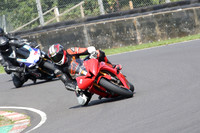 BIKES 0676