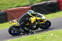 Fowlers 0968