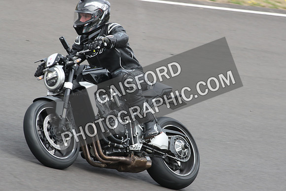 BIKES 1233