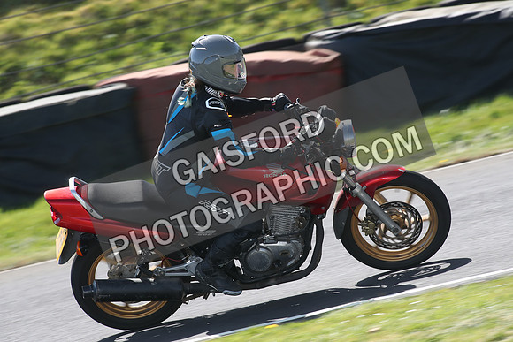 BIKES 1580