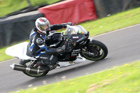 Fowlers 0958
