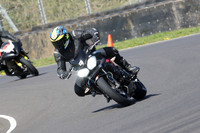BIKES 0726