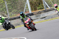 Bikes 0325