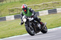 Bikes 0131