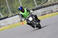 Bikes 0311