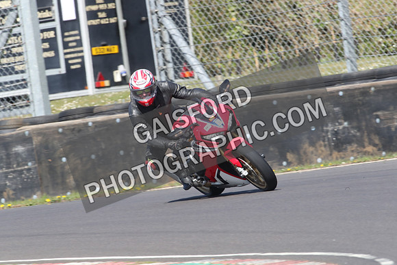 BIKES 0884