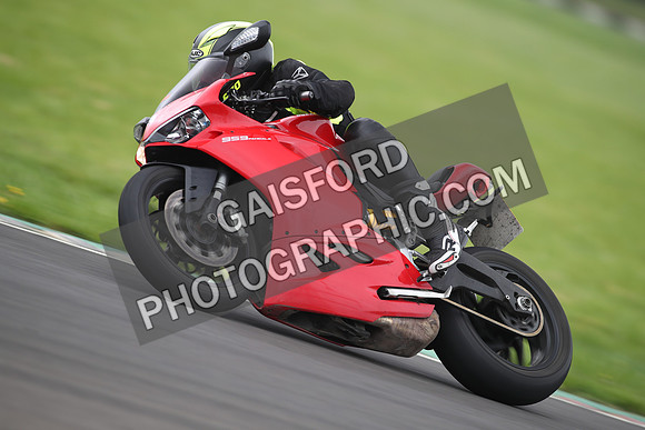 BIKES 1175