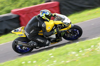 Fowlers 0995