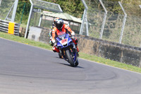 BIKES 1323