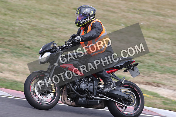 BIKES 1175