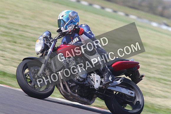 BIKES 1443