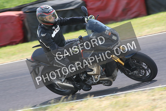 BIKES 1531