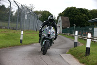 Kawasaki Ninja Grey