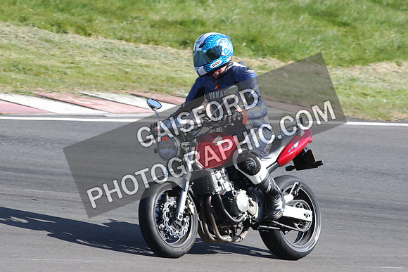 BIKES 2177