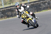 BIKES 0689