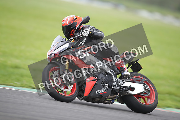 BIKES 1304
