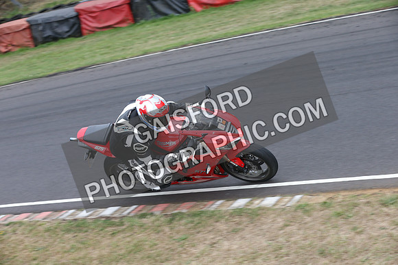 BIKES 1631