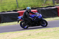 Fowlers 0491