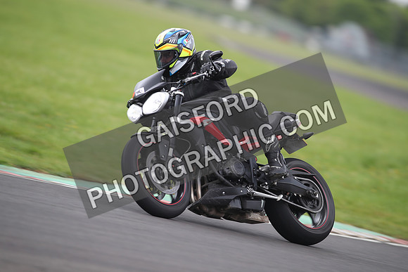 BIKES 1169