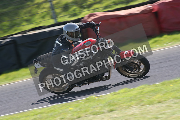 BIKES 1604