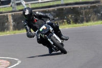 BIKES 0831