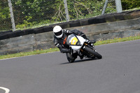 Fowlers 0598