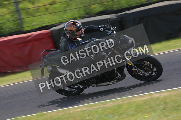 BIKES 1497