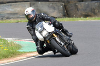 Fowlers 0691