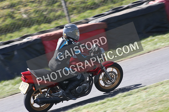 BIKES 1581
