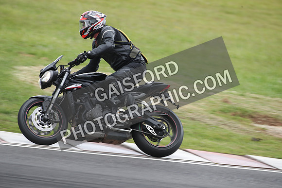 BIKES 1644